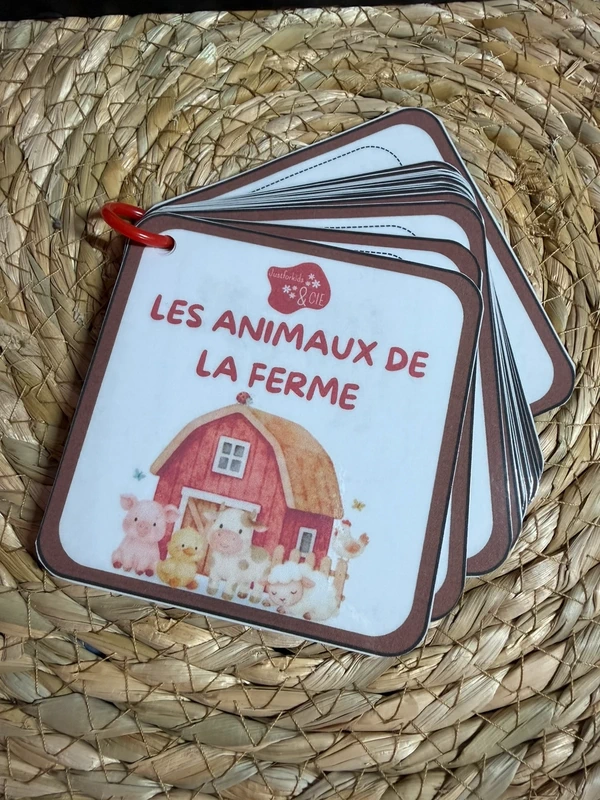 Porte-clés cartes de nomenclature inspiration pédagogie Montessori
