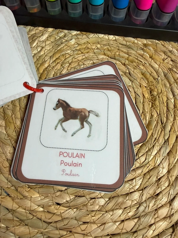 Porte-clés cartes de nomenclature inspiration pédagogie Montessori