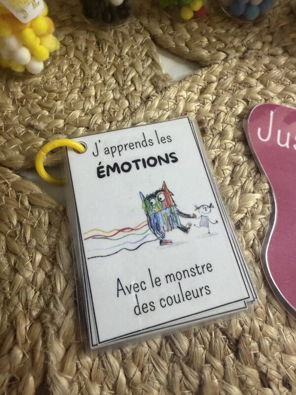 IMG_5303 Pack Bouteilles Sensorielles "Mes Émotions"