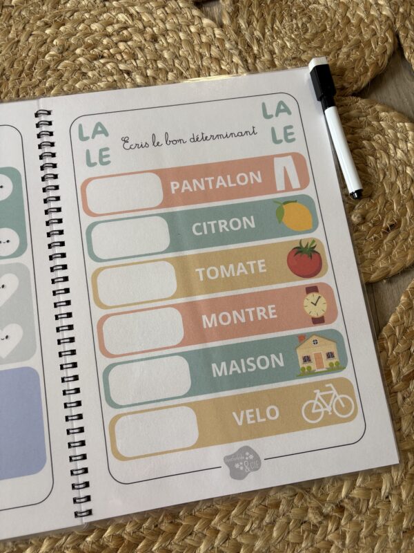 Livret primaire