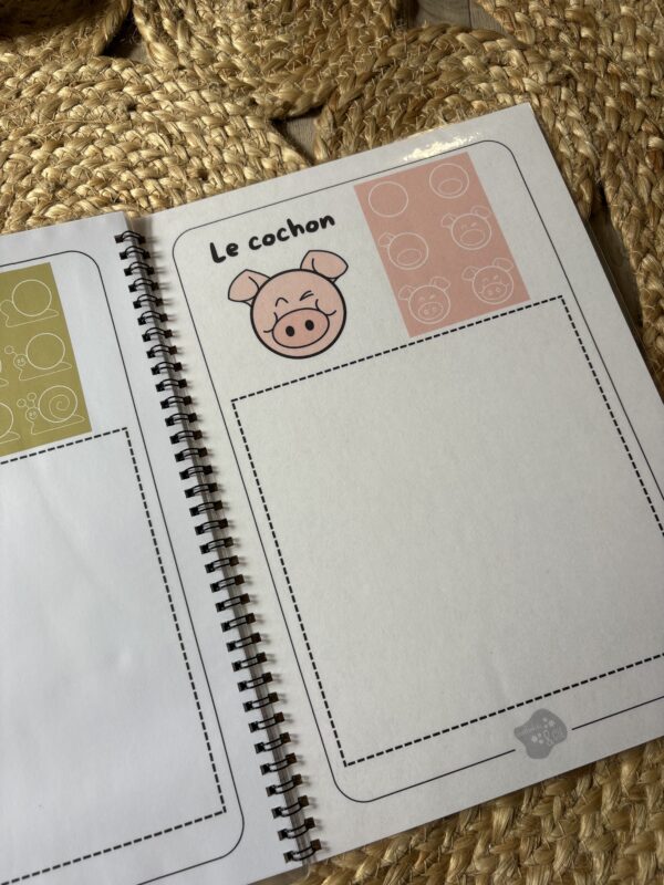 IMG_1738 Livret de dessins par étape